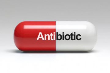 علل ایجاد مقاومت دارویی در برابر آنتی بیوتیک ها