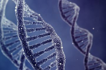 طراحی نرم‌افزاری با قابلیت شناخت تعداد گونه‌های متفاوت DNA