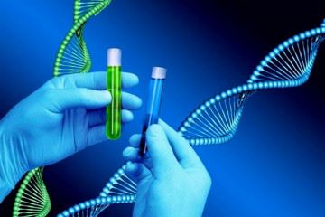 تشکیل شبکه بانک‌های ژن، استانداردهای حفاظت از ذخایر ژنتیکی کشور را ارتقا می‌دهد
