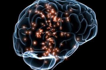 تحریک الکتریکی مغز موجب بهبود حافظه می شود