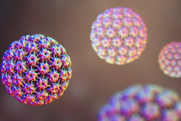 ویروس HPV کدام قسمت های بدن را درگیر می کند؟